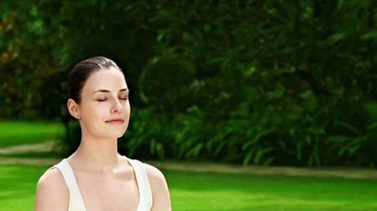 Taj Wellington Mews Recreation