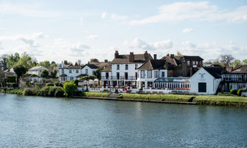 The Swan