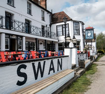 The Swan Exterior