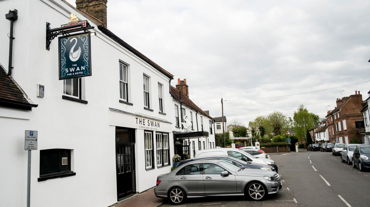 The Swan Other