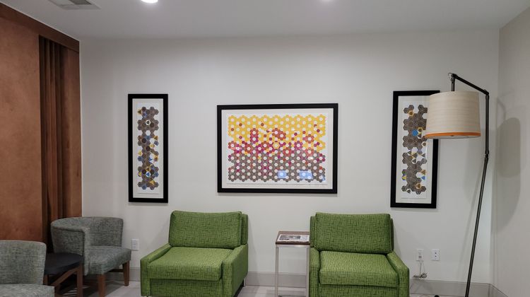 Holiday Inn Express/Stes Vidor South Lobby