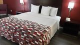 Red Roof Inn Kenner-New Orleans Airport Room