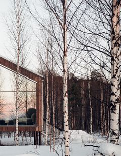 Arctic Bath