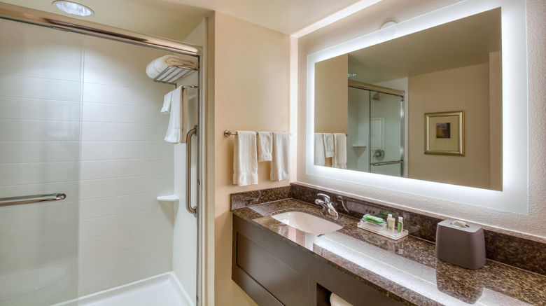 <b>Holiday Inn & Stes Atlanta Airport North Room</b>. Images powered by <a href="https://www.leonardoworldwide.com/" title="Leonardo Worldwide" target="_blank">Leonardo</a>.