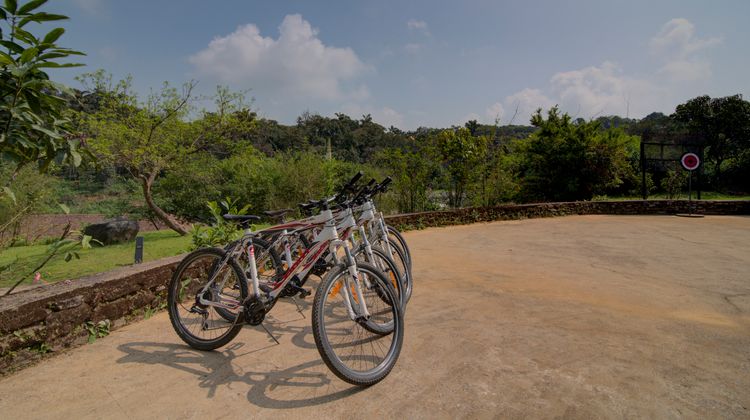 Taj Madikeri Resort & Spa, Coorg Recreation