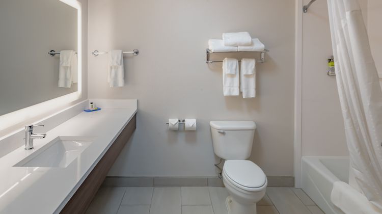 Holiday Inn Express & Suites N Waco Area Room