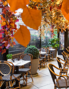 The Bloomsbury Hotel