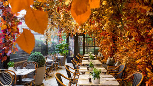 The Bloomsbury Hotel