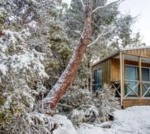 Discovery Parks Cradle Mountain Exterior
