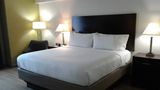 Holiday Inn Express Hotel & Suites Room