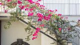 Donna Carmela Lobby