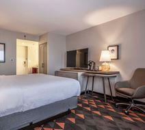 Holiday Inn St.John's Govt Center Room
