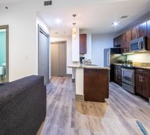 Holiday Inn Club Vacations New Orleans Room