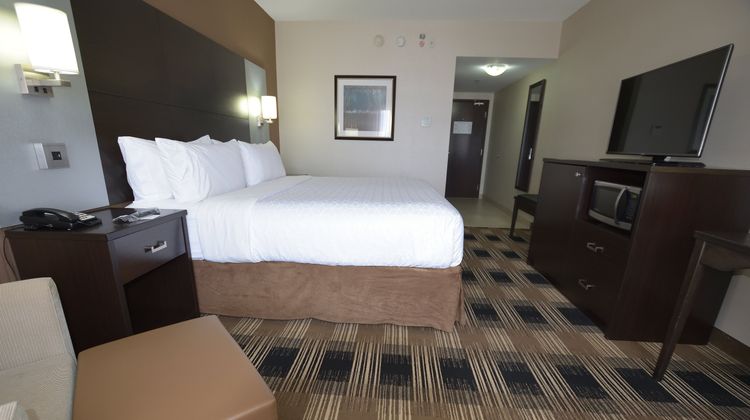 Holiday Inn Express & Suites Orleans SW Room