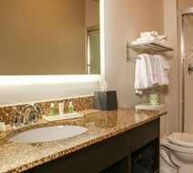 Holiday Inn Clarkston-Lewiston Room