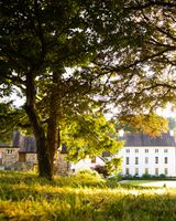 The Grove of Narberth