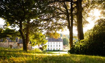 The Grove of Narberth