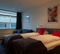 Hotel Hedegarden Room