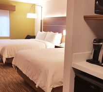 Holiday Inn Express & Suites Surrey Room