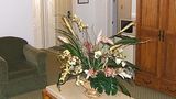 Castaways Resort & Suites Suite