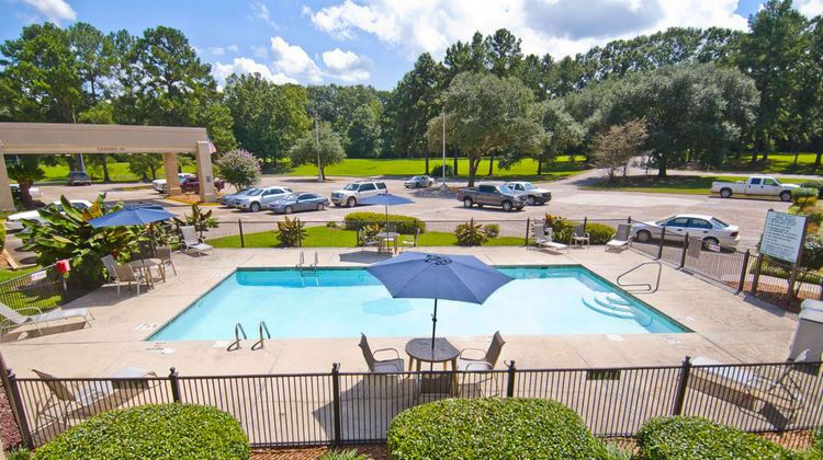 Hotel Francis Pool