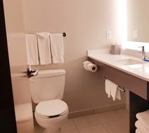 Holiday Inn Express & Suites Surrey Room