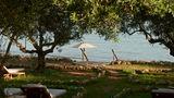 <b>100 Rizes Seaside Resort Beach</b>. Images powered by <a href="https://www.leonardoworldwide.com/" title="Leonardo Worldwide" target="_blank">Leonardo</a>.