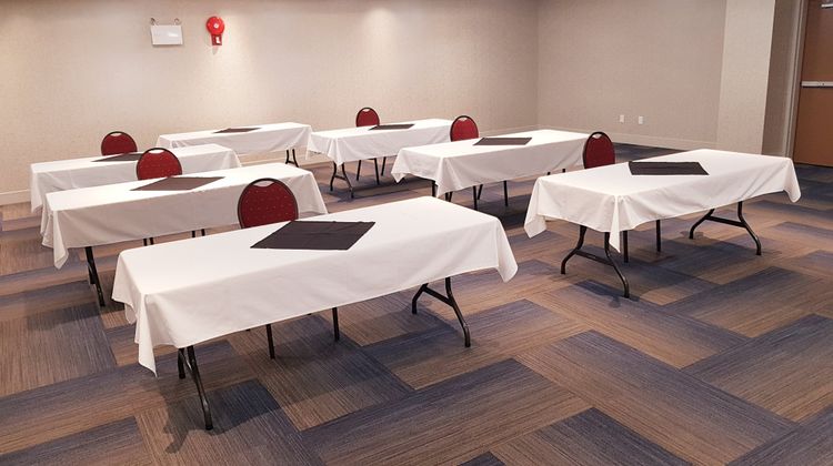 Holiday Inn Express & Suites Surrey Ballroom