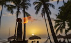 Anse Chastanet Resort