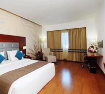 Abu Sarovar Portico Room