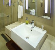 Abu Sarovar Portico Room
