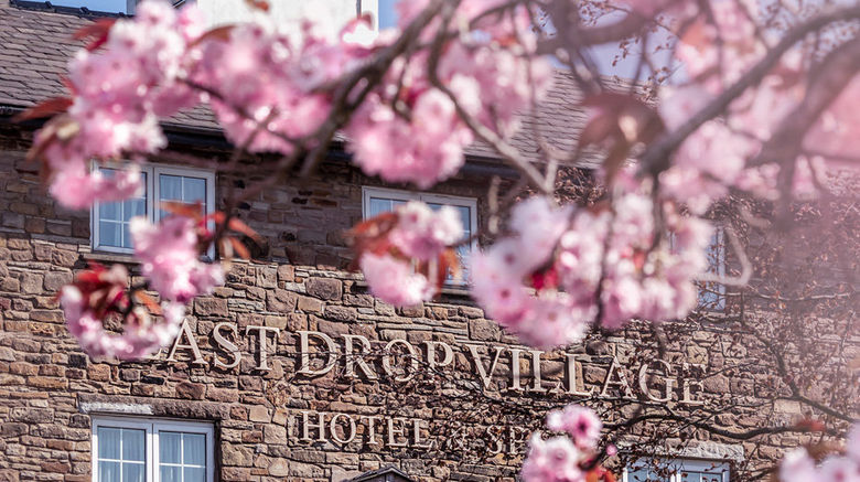 <b>Last Drop Village Hotel & Spa Room</b>. Images powered by <a href="https://www.leonardoworldwide.com/" title="Leonardo Worldwide" target="_blank">Leonardo</a>.