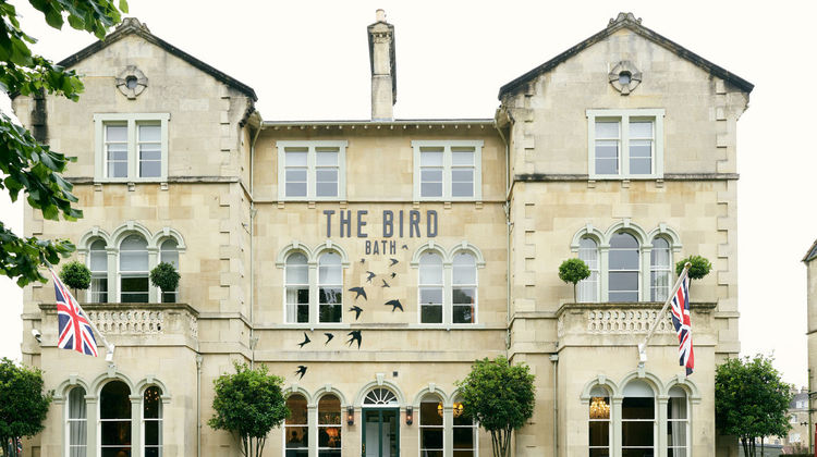 The Bird Exterior