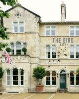 The Bird