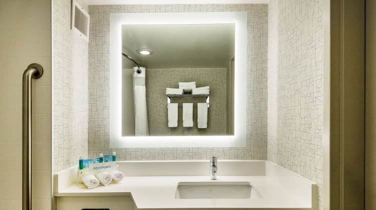 Holiday Inn Express Flint-Campus Area Room