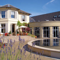 The Vineyard