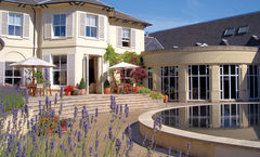 The Vineyard