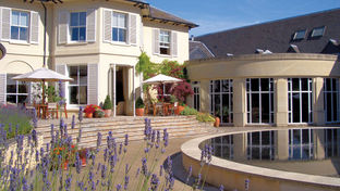 The Vineyard