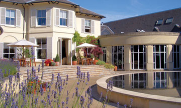 The Vineyard