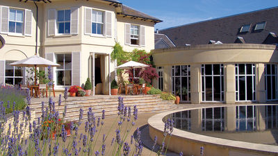 The Vineyard