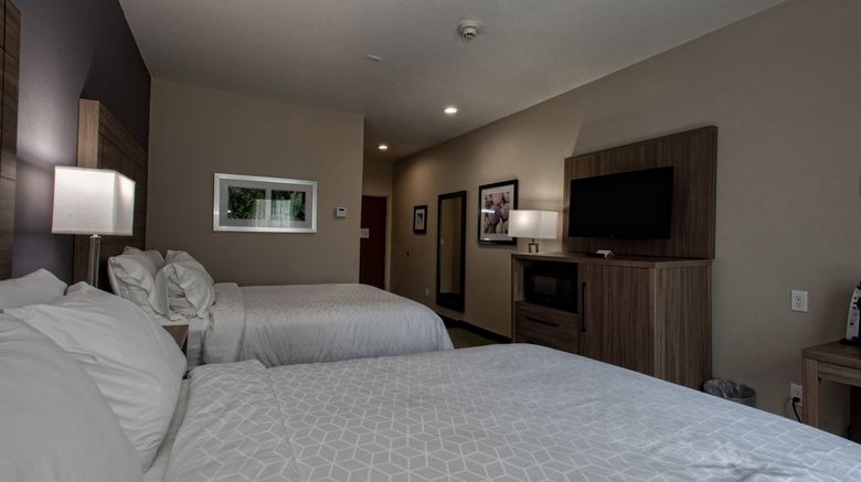 <b>Holiday Inn Express Hotel & Suites Room</b>. Images powered by <a href="https://www.leonardoworldwide.com/" title="Leonardo Worldwide" target="_blank">Leonardo</a>.