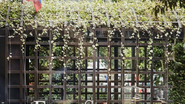 Four Seasons Bogota Exterior