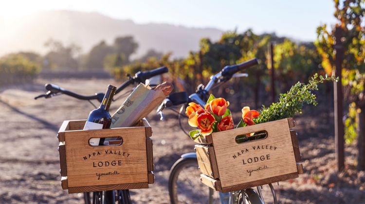 Napa Valley Lodge Recreation
