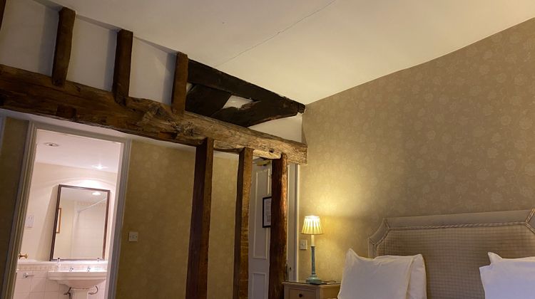 Brook Whipper-In Hotel Room