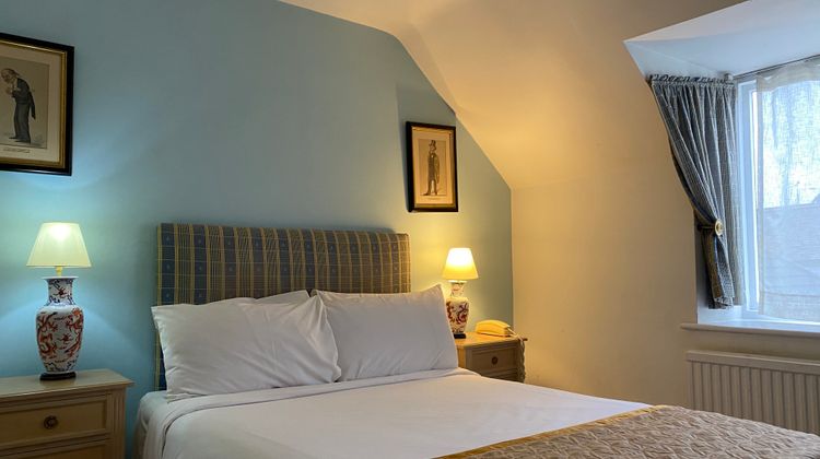Brook Whipper-In Hotel Room