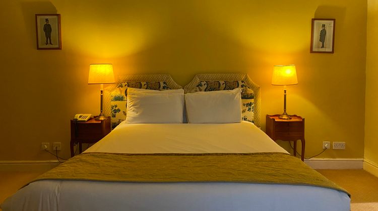 Brook Whipper-In Hotel Room