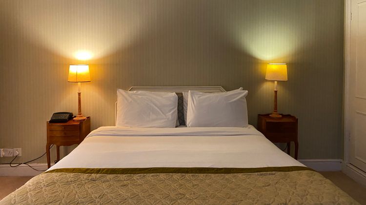 Brook Whipper-In Hotel Room