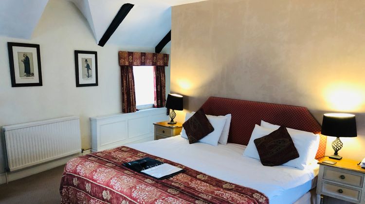 Brook Whipper-In Hotel Room