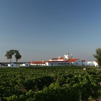 Torre de Palma, a Design Hotel