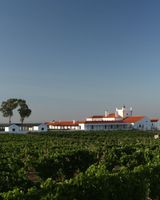 Torre de Palma, a Design Hotel